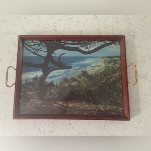 Vintage Hawaiian Landscape Serving tray